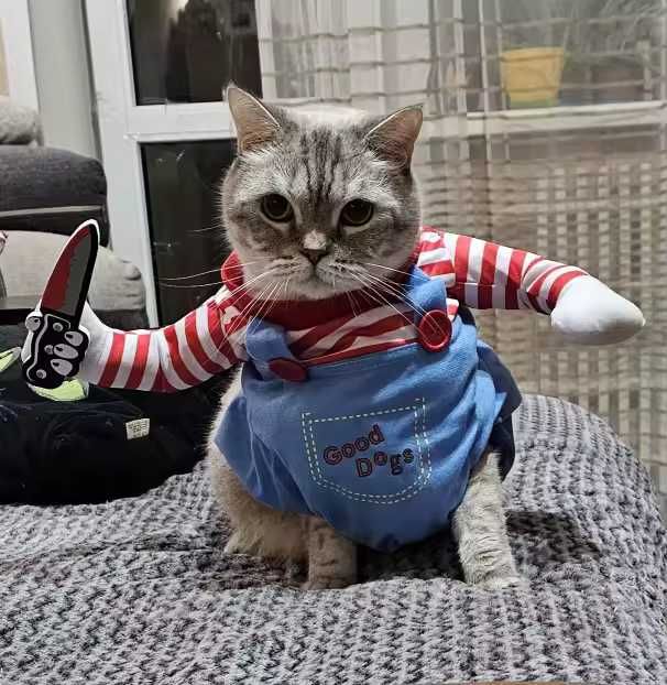 Disfarce Halloween para Cão/Gato – Fato Divertido M