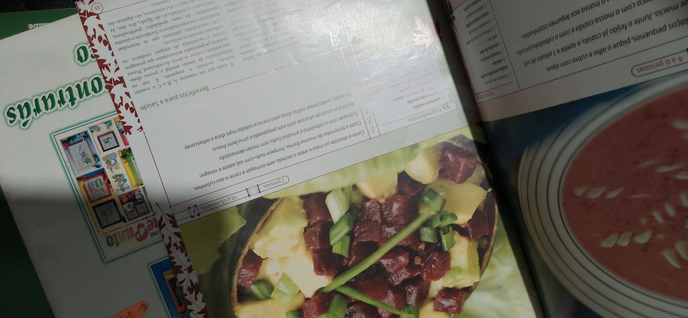 Lote revistas gastronomia