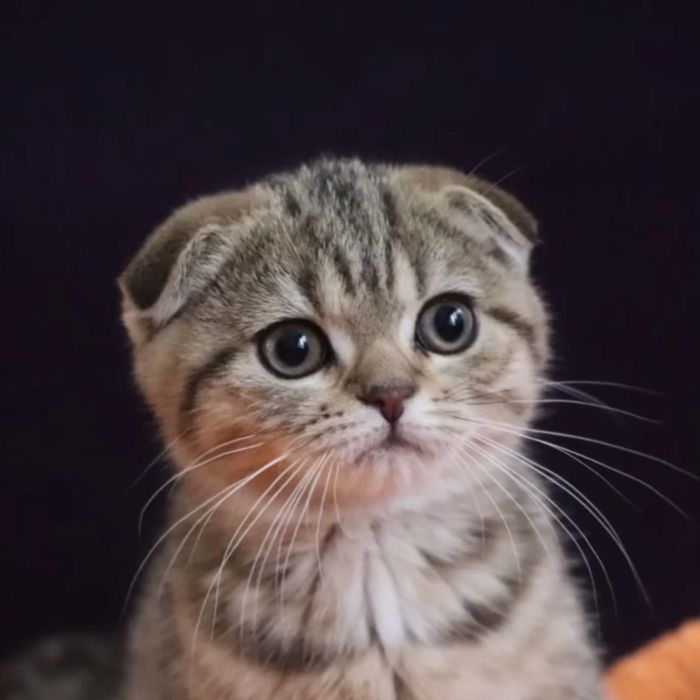 Чарівний хлопчик