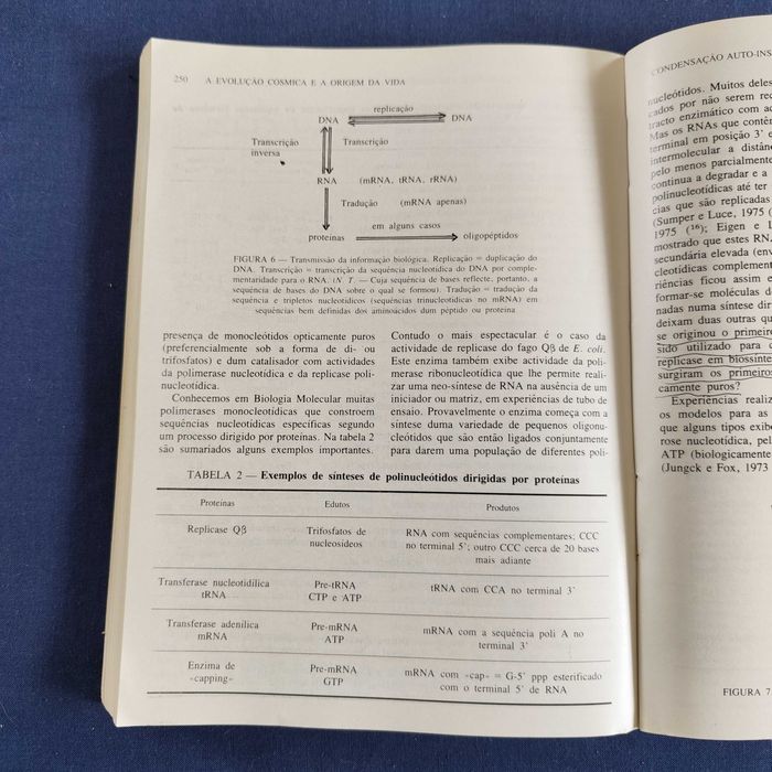 Hernâni Maia e Moura Ramos - A Evolução Cósmica e a Origem da Vida