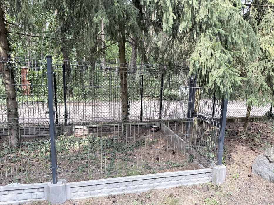 Kojec dla psa z budą
