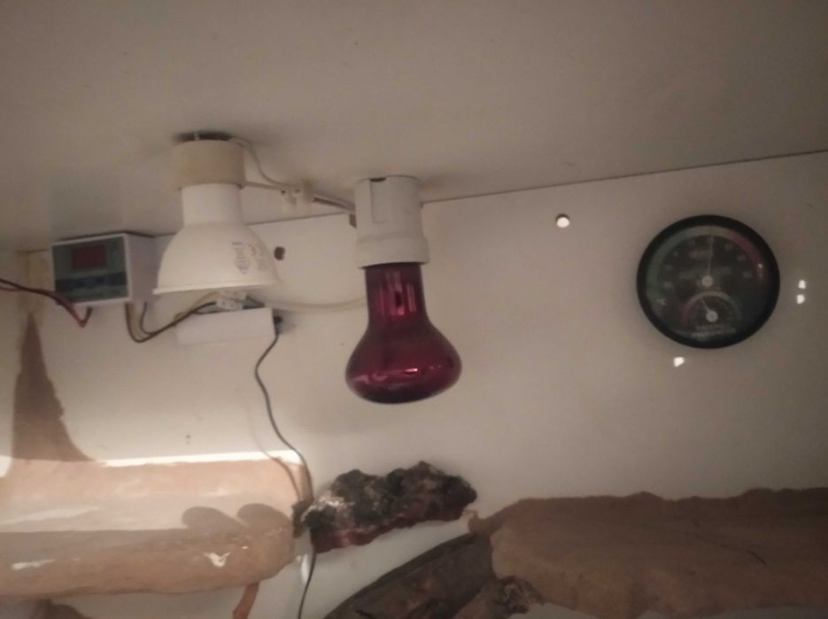 Terrarium z osprzętem