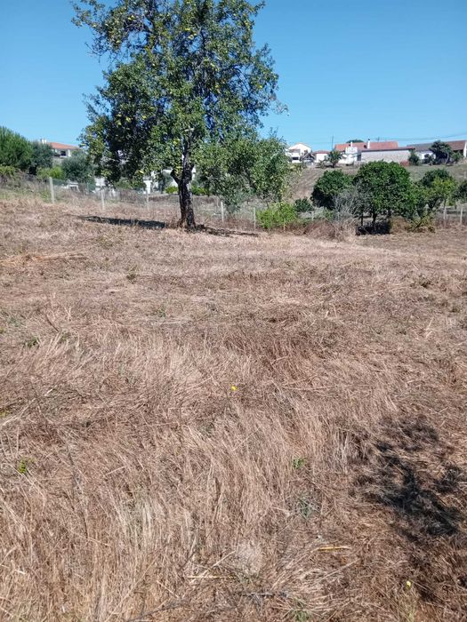 Venda de quinta na Quinta da Sardinha na estrada principal .