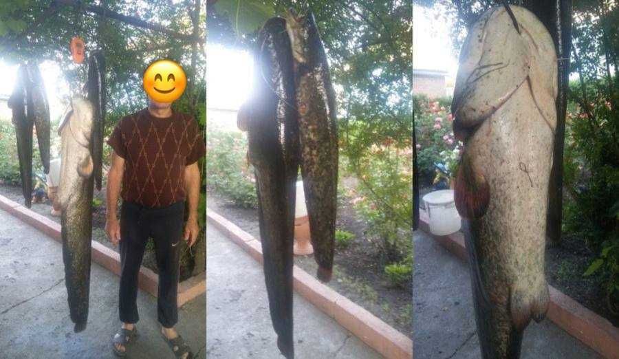 Снасті, снасть, ловля сома