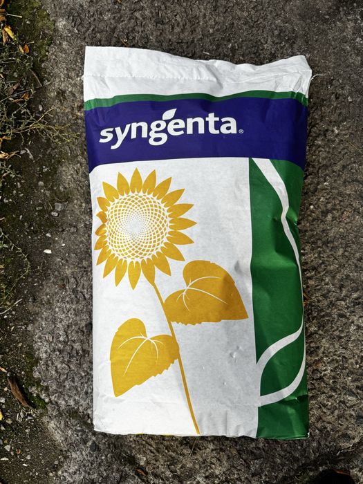 Продам насіння соняшнику Піонер та Сінгента