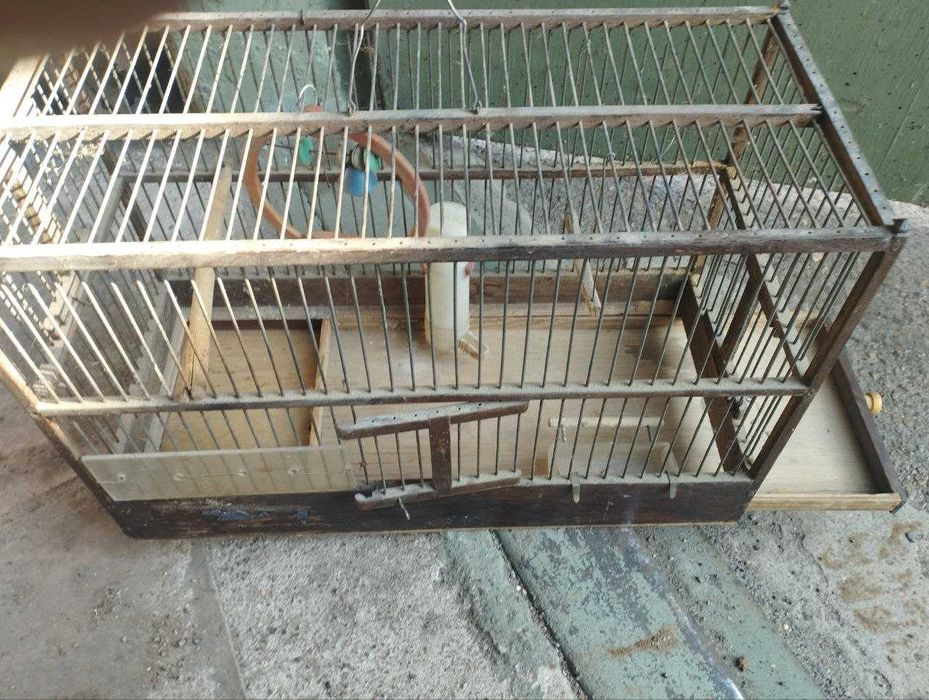 Клітка для птахів