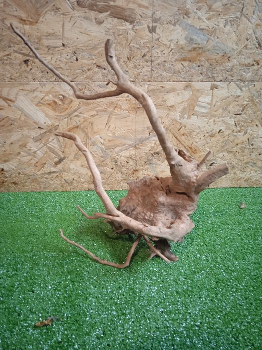 Korzeń do akwarium Red Moore Wood nr 168 o wymiarach 26/30/28