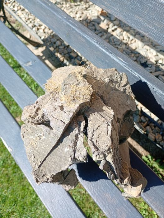 Korzeń do akwarium imitacja d zerewna