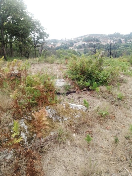 Vende-se Terreno urbanizável em Castro Daire