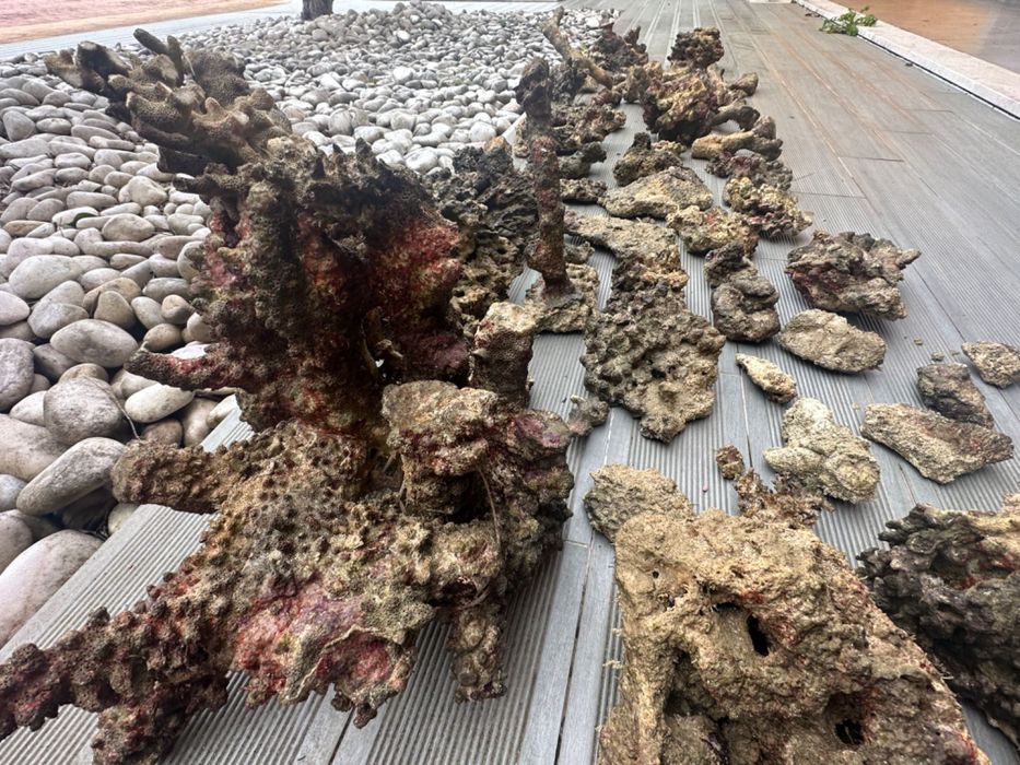 Rocha viva de aquário Reef (água salgada) 71kg