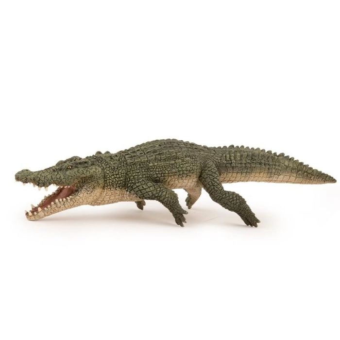 Krokodyl słonowodny 21,5x7,2x5cm ,215x72 mm