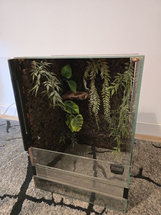 Terrarium dla gekona