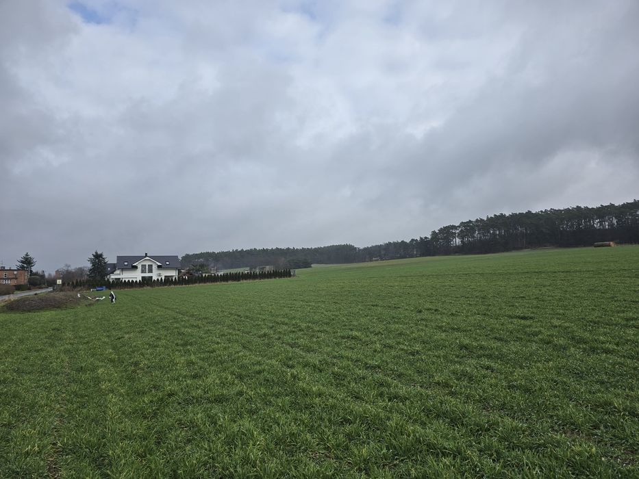 Sprzedam działki budowlane z warunkami zabudowy - Widok 5