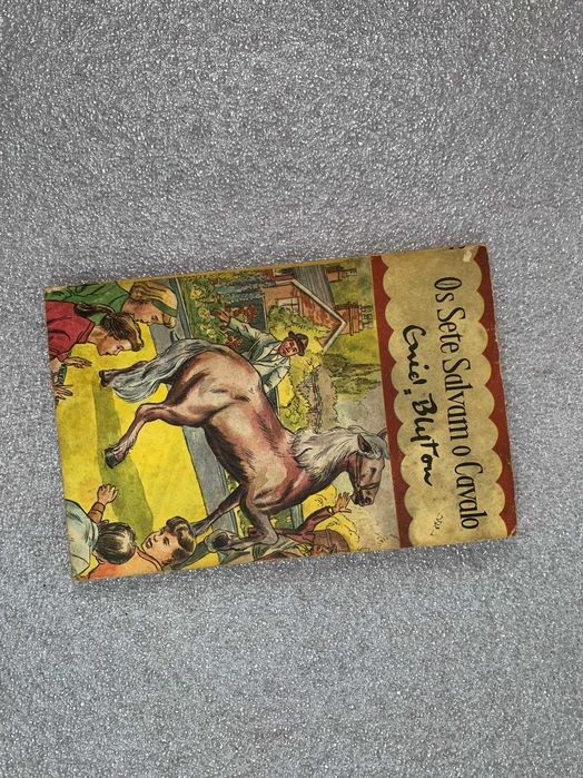 OS SETE de Enid Blyton