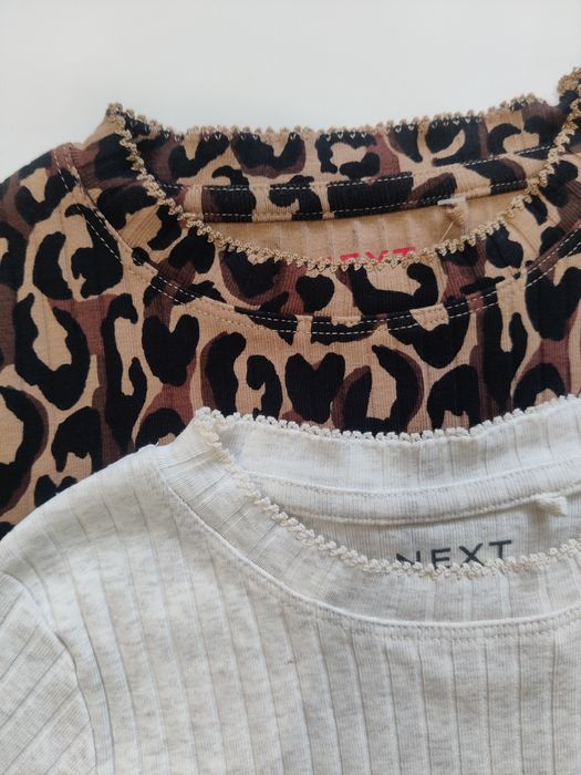 Лонслів, реглан next для дівчинки 5-6 років