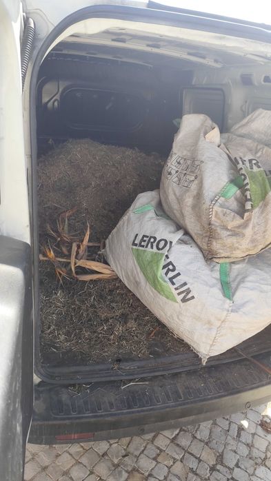 Remoção de Lixo Verde e Outros tipos