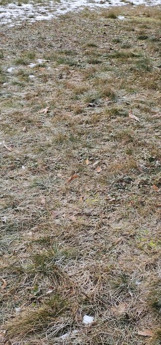 продам земельну ділянку в с. Посад-Покровське під ОСГ площею 1,5 га