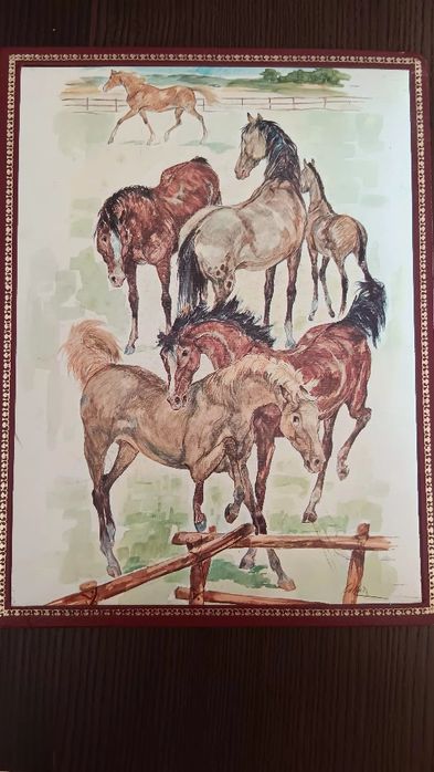 Álbum de selos de Cavalos