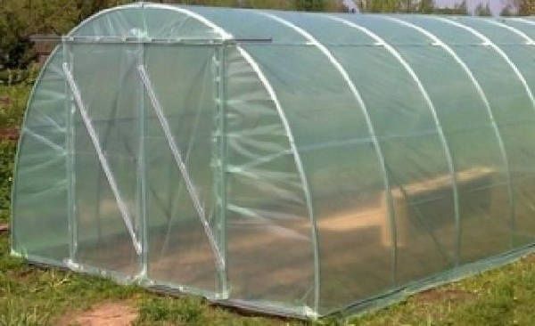 Плівка для теплиць і парників. Товщина 200мкм.