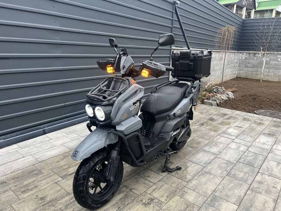 Forte unicorn ev