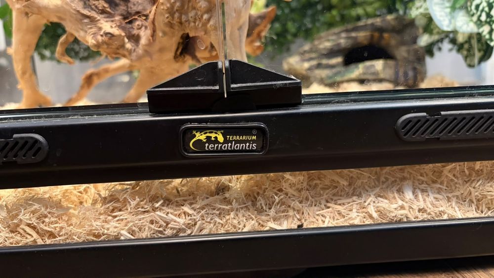 Terrarium terratlantis