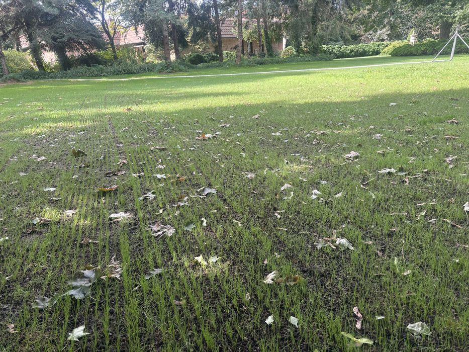 Dosiewacz wgłebny, siewnik z walcem, 100% skuteczności