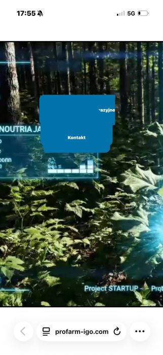 Utylizacja rdestowca, usuwanie roslin inwazyjnych, rdestowiec