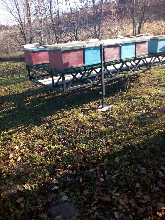 Модуль для бджіл