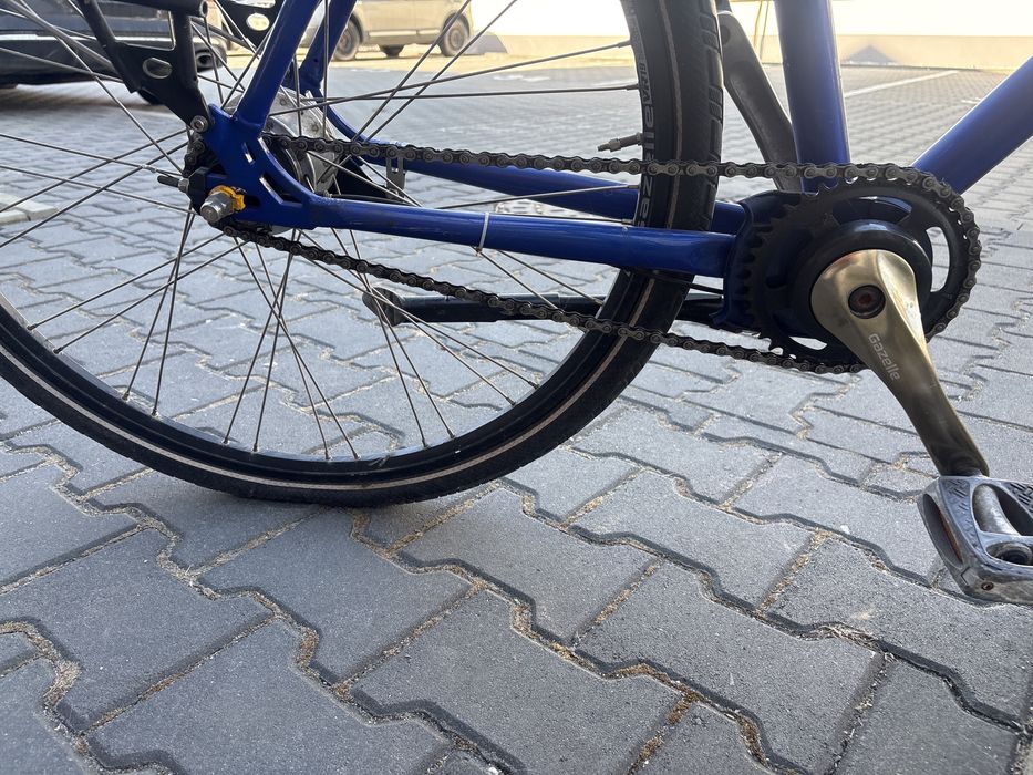 Rower gazelle luzern