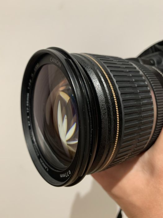 Canon EOS 80D + объектив Canon EF-S 17–55mm f/2.8 IS USM