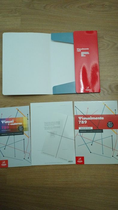 Manual+ Caderno de atividades- Educação Visual- 7,8,9 anos