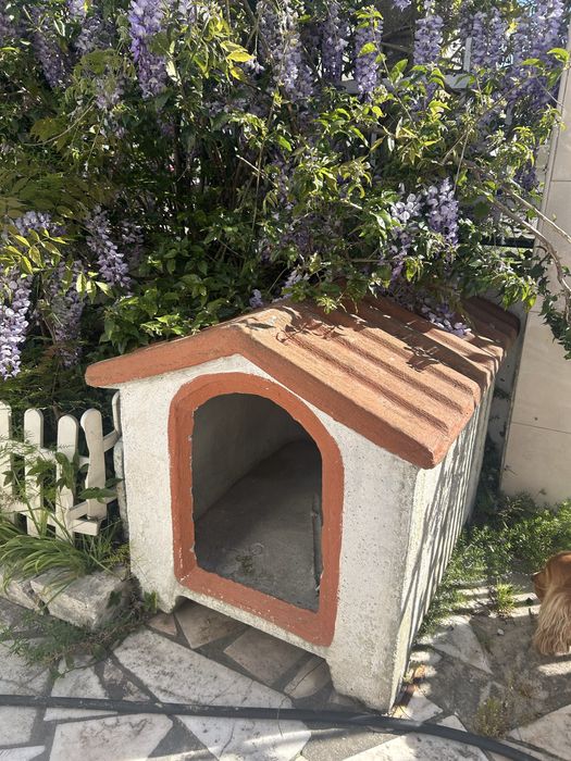 Casa para cão em cimento – resistente e durável