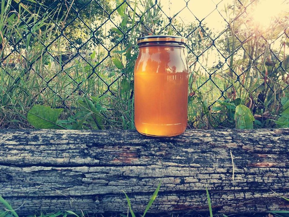 Miód lipowo - leśny z 2025 roku