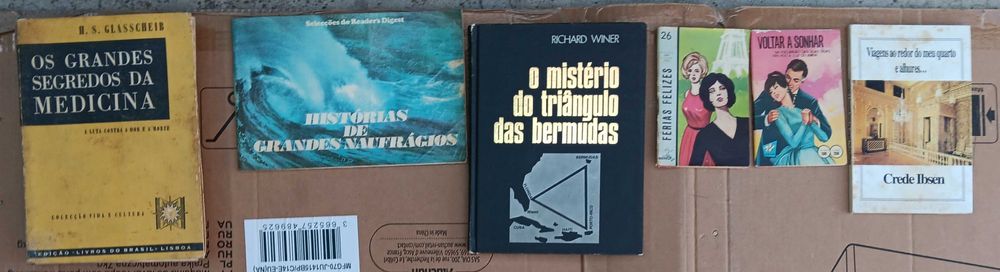 Livros (Lote 6) - História / Geoestratégia / Ciência /Arte/ Engenharia
