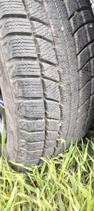 Audi a4b7 1.9 tdi 2006 рік