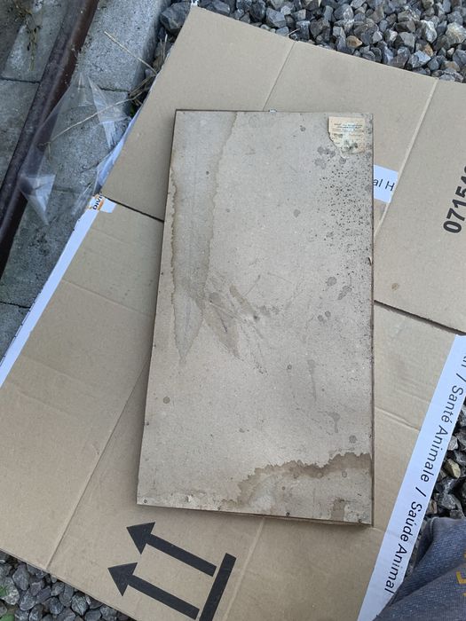 Monitro LG Flatron L1953S - SF 19 cali