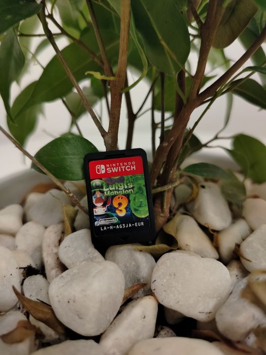 Luigi's Mansion 3 Nintendo switch