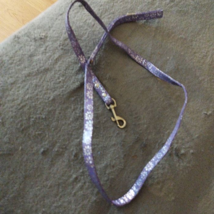 Smycz dla psa lub kota