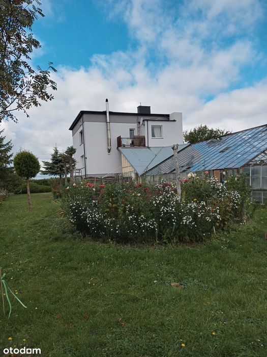 Wolnostojący dom z garażem i ogrodem - Widok 2