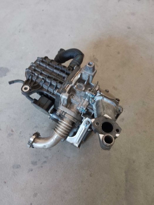 EGR Boxer Jumper 2.0
