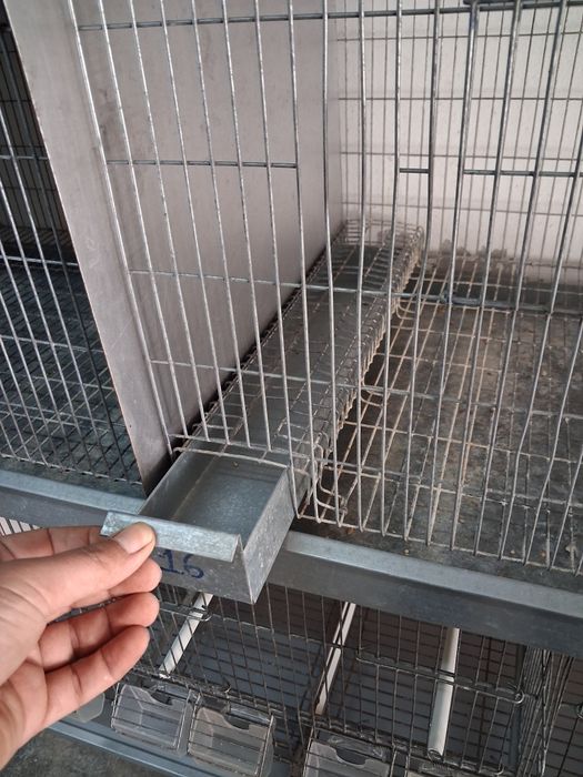 Gaiolas para aves