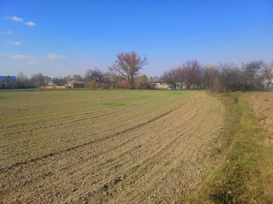 Земельна ділянка с. Млинки.Обмен на авто