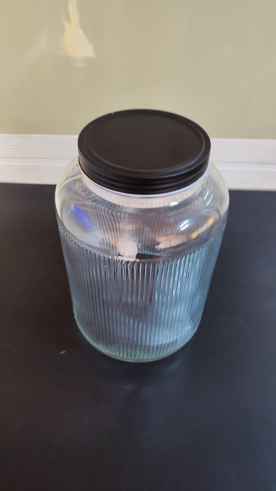 Dispensador de Vidro - 3L