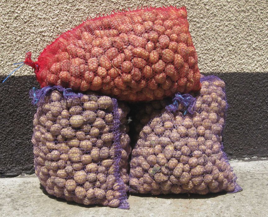 ziemniaki drobne paszowe