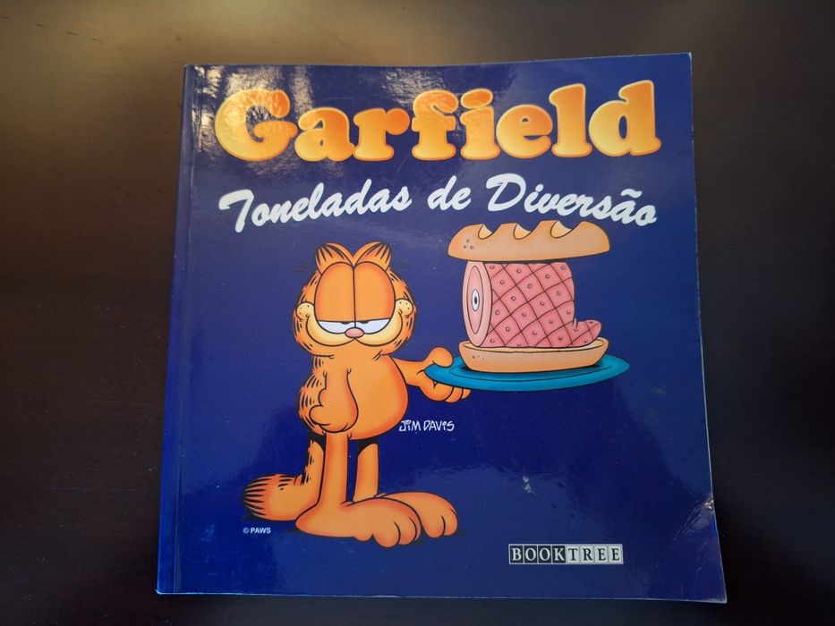 Garfield o famoso gato - livro