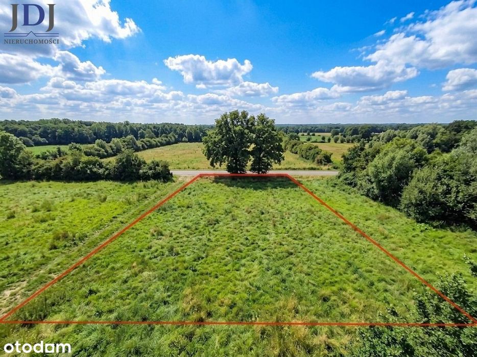 Działka 3600 m2. Łąka kl III. Wola Gródecka