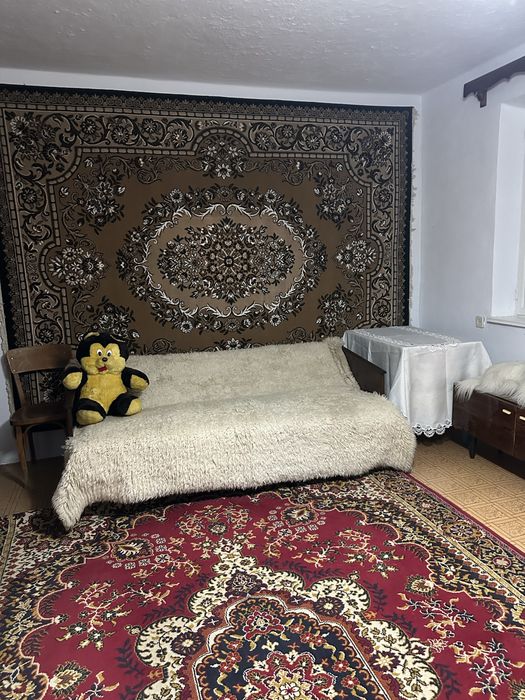 Будинок зі зручностями в Баговиця,Камянець-Подільский район