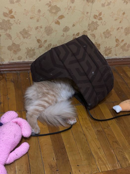 Мейнкун    КСУ