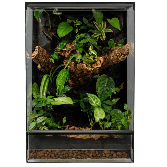 Terrarium tropikalne 40x40x60 paludarium gekon