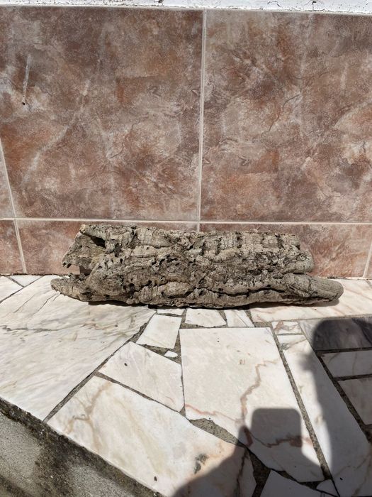 Cortiça para Terrário/Aquário - Mais informações dm